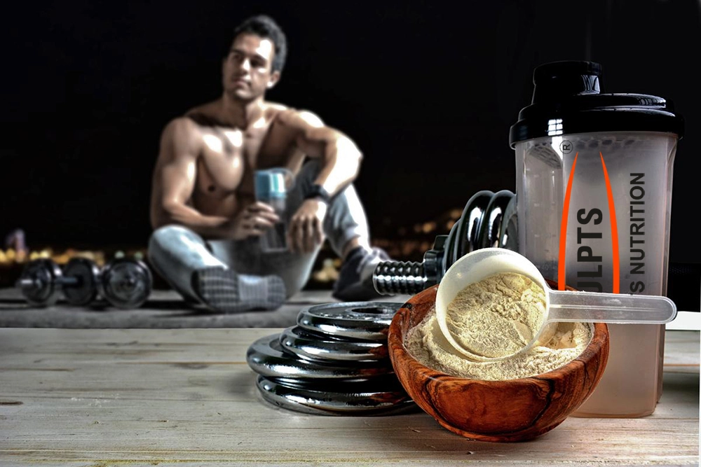 Choosing the right protein supplement while working out Sculpts